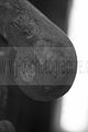 heilanstalt milbitz_089